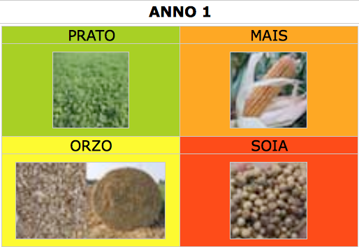 coltivazione_bio_anno1