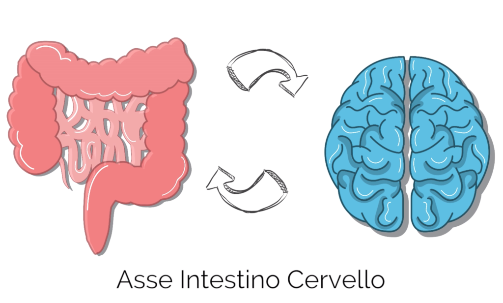 asse intestino cervello