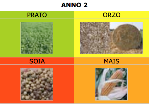 coltivazione_bio_anno2