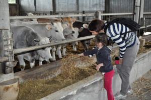 rizzieri_day_02