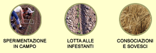 sperimentazione_campo