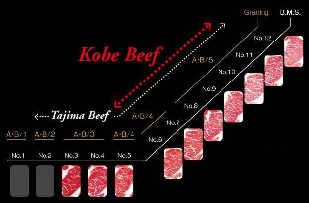 carne di kobe