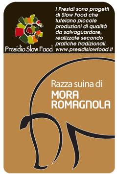 slow food mora romagnola