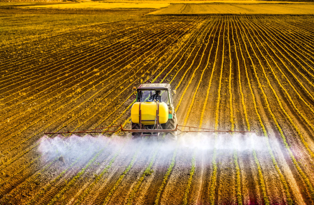 agricoltura intensiva